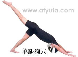 瑜伽动作 狗式