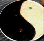 粤菜,广东菜