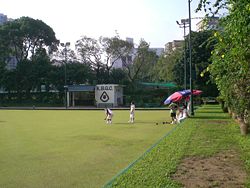 草地滚球 草地滚球