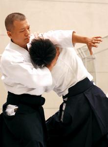 合气道 合气道