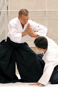 合气道 合气道