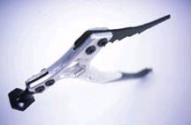 ʱ