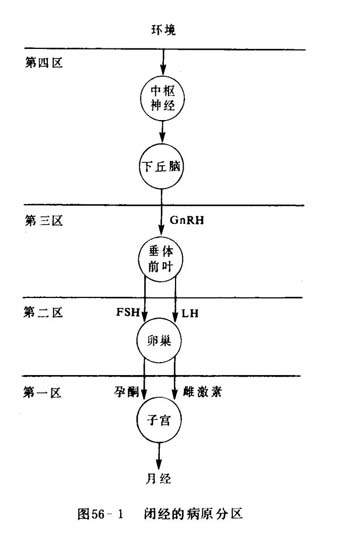 闭经