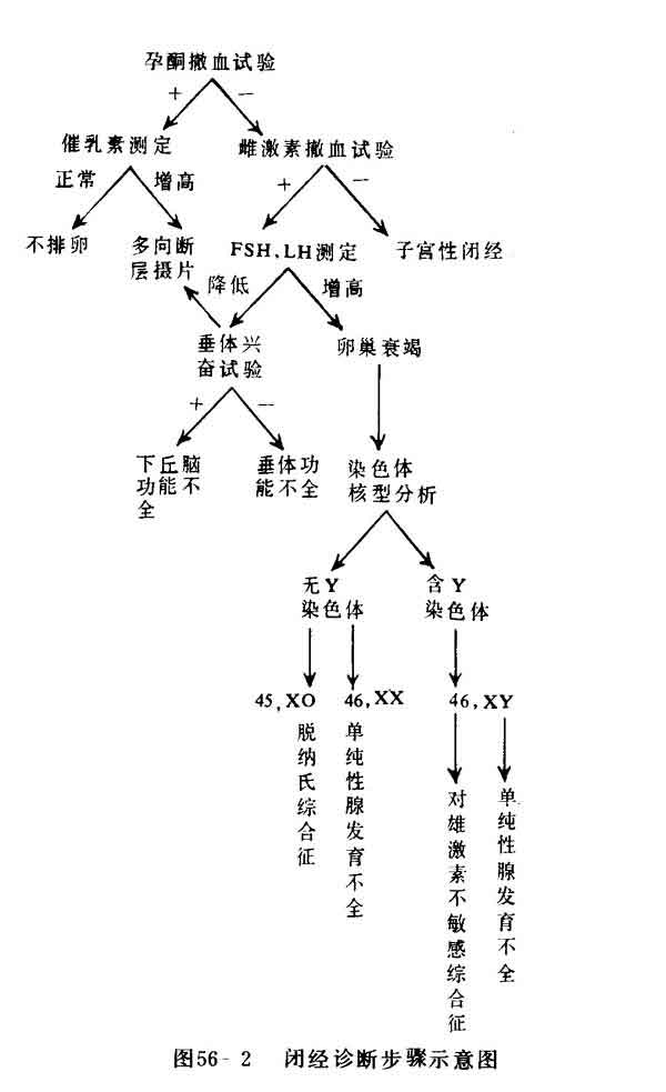 闭经